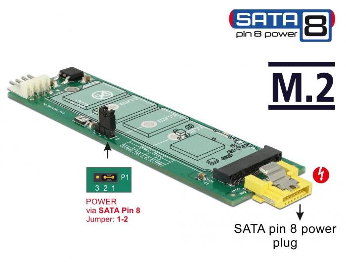 Delock 63917 Schnittstellen-Konverter [1x SATA - 1x M2]