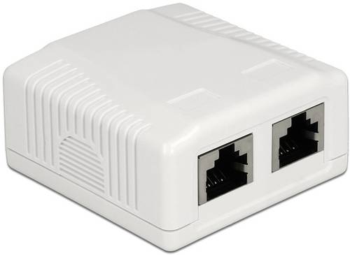Delock Netzwerkdose Aufputz CAT 6a Weiß