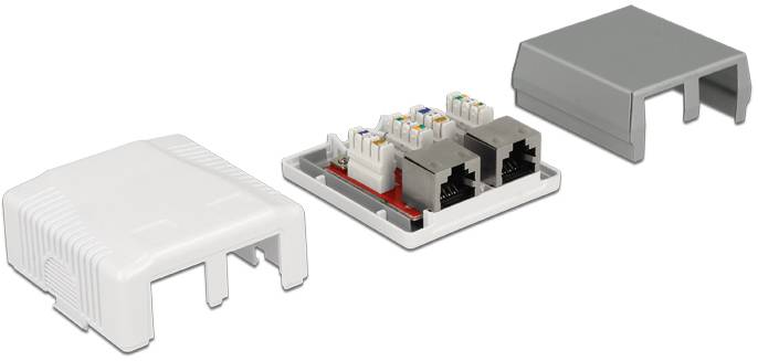 Delock Netzwerkdose Aufputz CAT 6a Weiß
