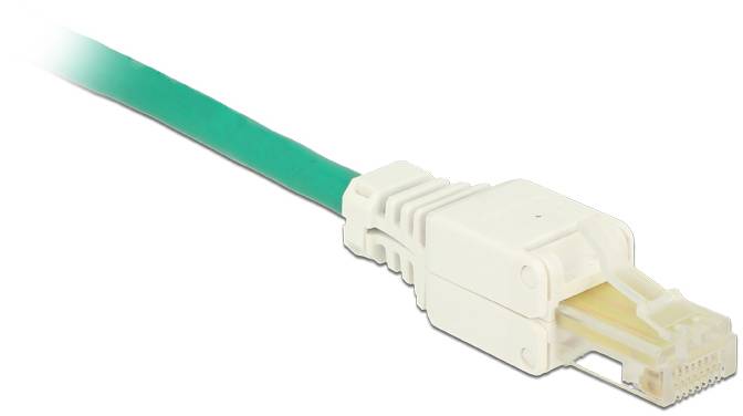 Delock 86415 RJ45 Stecker Cat.5e UTP werkzeugfrei 2 Stück 86415 Weiß 1St.