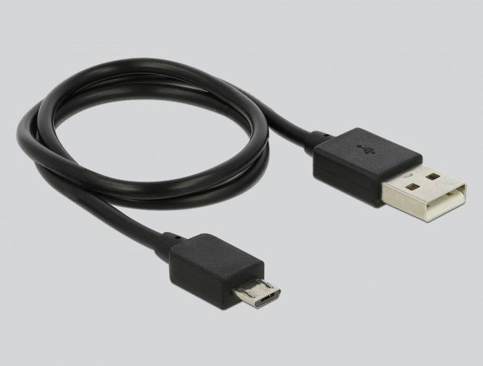 Delock 87737 DisplayPort-Splitter Schwarz