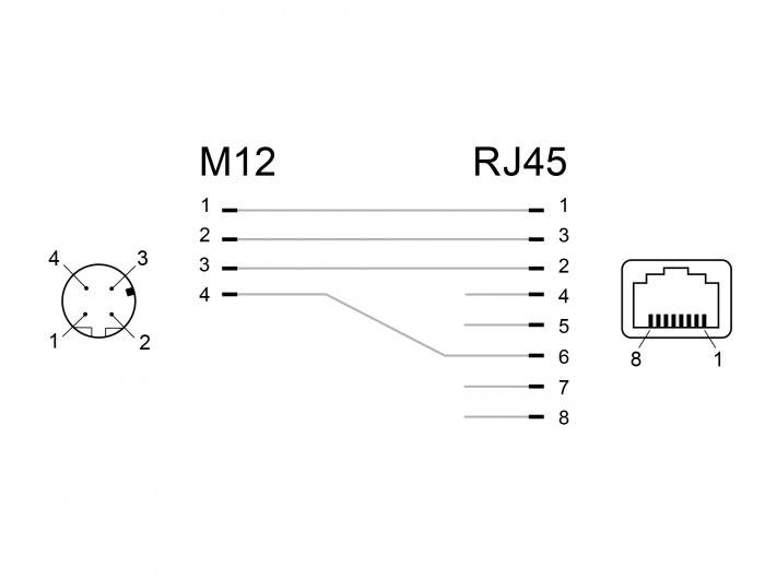 Delock M12 / RJ45 Netzwerk Adapter [1x M12-Buchse - 1x RJ45-Buchse] Schwarz
