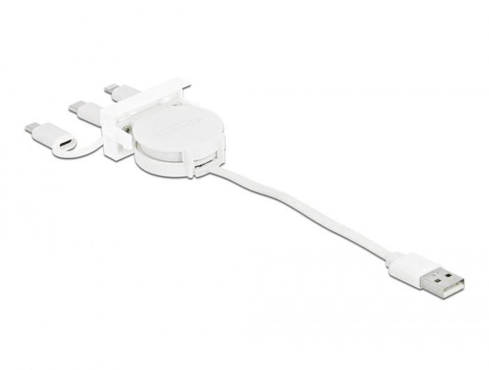 Delock 81375 81375 Erweiterungsmodul 480MBit/s