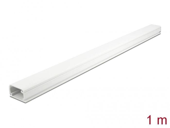 Delock Kabelkanal PVC Weiß (L x B x H) 1m x 35mm x 20mm 1 St. 20722