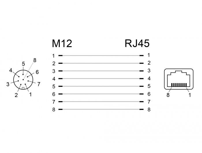 Delock M12 / RJ45 Netzwerk Adapter [1x M12-Buchse - 1x RJ45-Buchse] Schwarz
