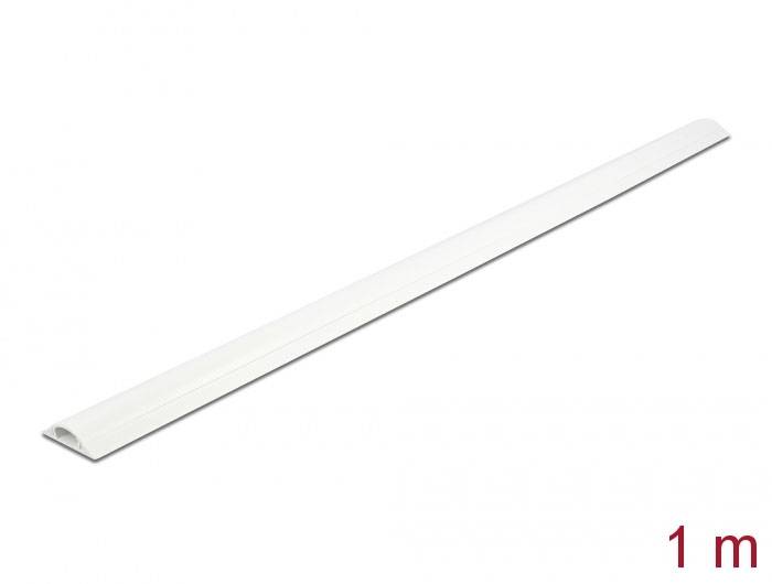 Delock Kabelkanal PVC Weiß (L x B x H) 1m x 30mm x 8mm 1 St. 20704