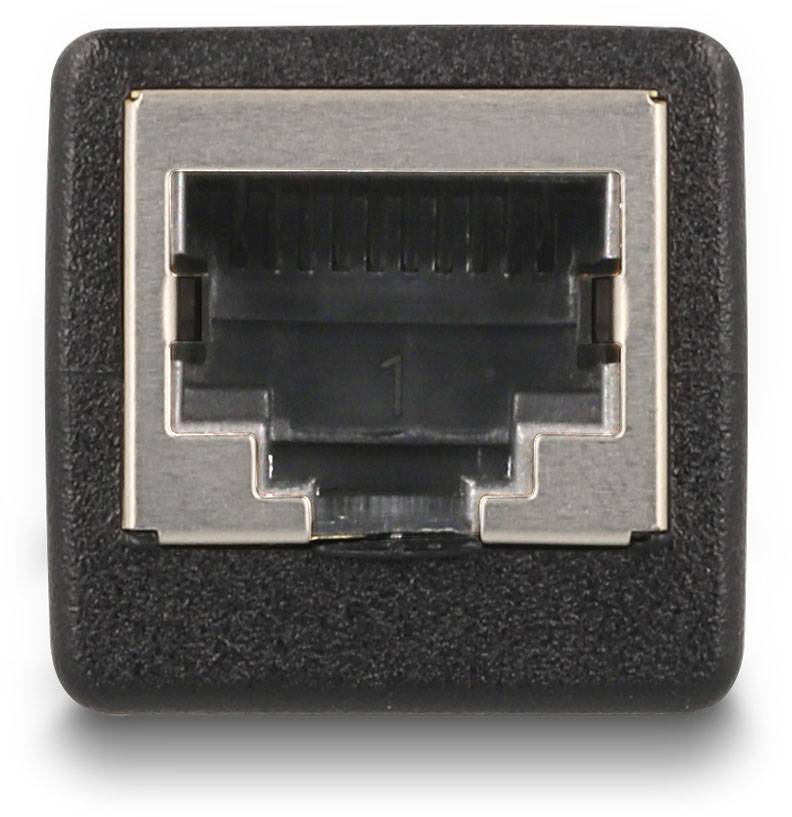 Delock RJ50 Netzwerk Adapter [1x RJ50-Buchse - 1x RJ50-Buchse] Schwarz