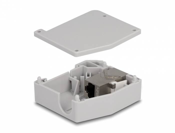 Delock 86959 Hutschienenadapter Keystone CAT 6a 1St.