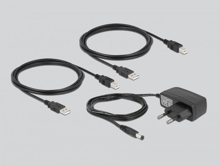 Delock 11492 USB 2.0-Umschalter Schwarz