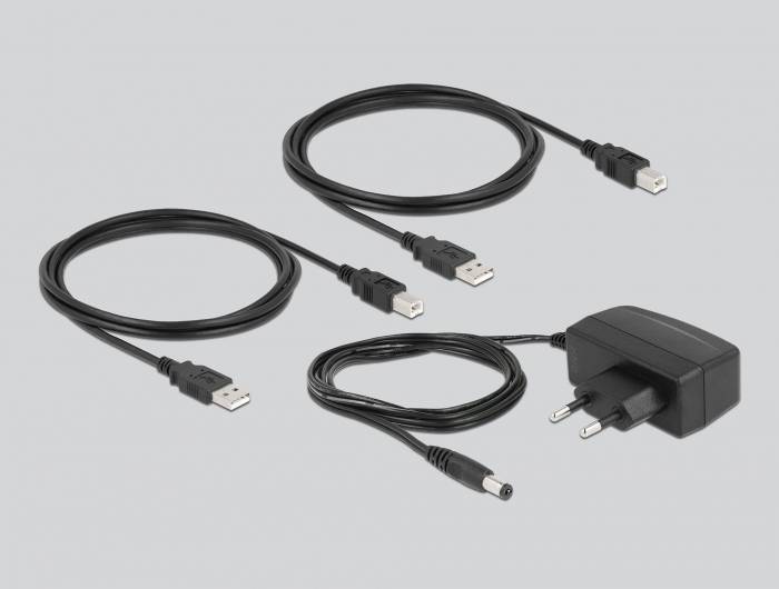 Delock 11494 USB 2.0-Umschalter Schwarz