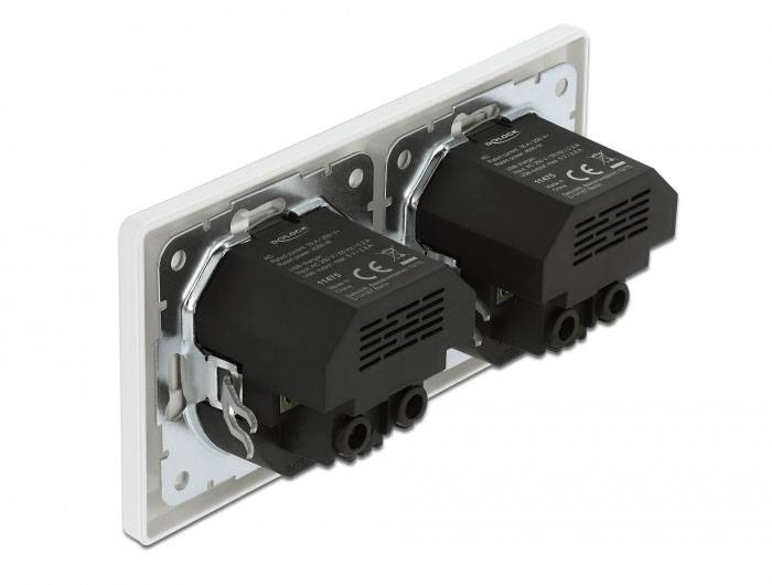 Delock 11475 Einbau-Steckdoseneinheit mit USB, ohne Kabel Weiß