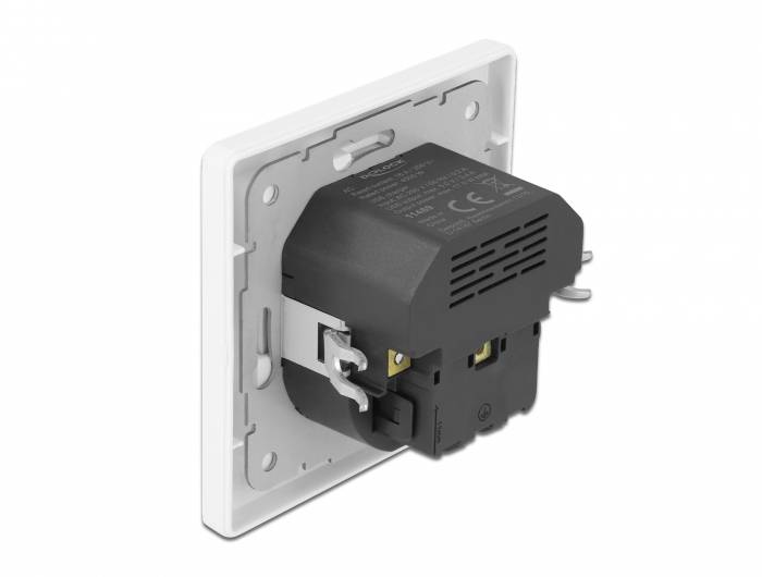 Delock 11489 Einbau-Steckdose mit USB, mit USB-C® Weiß