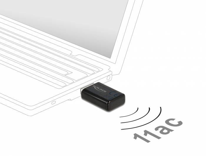 Delock 12550 WLAN Adapter WLAN