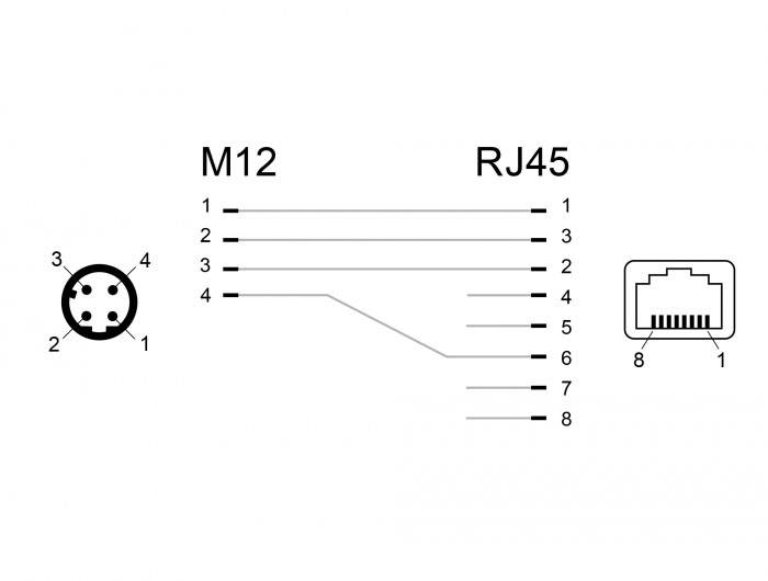 Delock M12 / RJ45 Netzwerk Adapter [1x M12-Stecker - 1x RJ45-Buchse] Schwarz