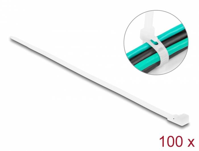 Delock 18642 Kabelbinder Weiß Wiederverwendbar 100St.