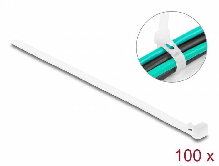 Delock 18643 Kabelbinder Weiß Wiederverwendbar 100St.