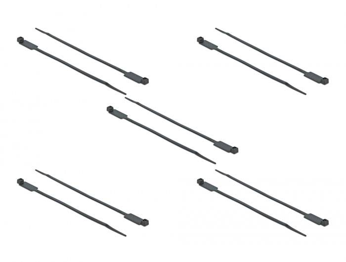 Delock 18961 Kabelbinder Schwarz mit Beschriftungsfeld 10St.