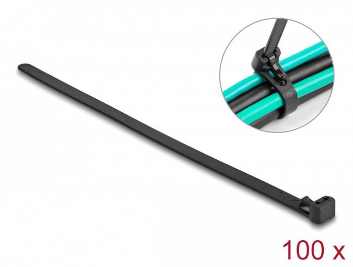 Delock 19066 Kabelbinder Schwarz Hitzestabilisiert, Wiederverwendbar 100 St.
