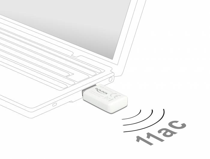 Delock 12770 WLAN Adapter WLAN