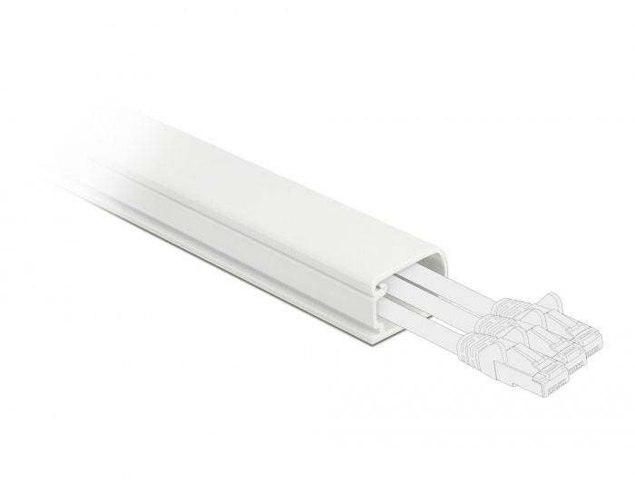 Delock Kabelkanal PVC Weiß (L x B x H) 1m x 22mm x 15mm 1 St. 20720