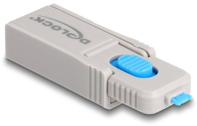 Delock USB-A Port Schloss 20923 Blau, Grau 20923