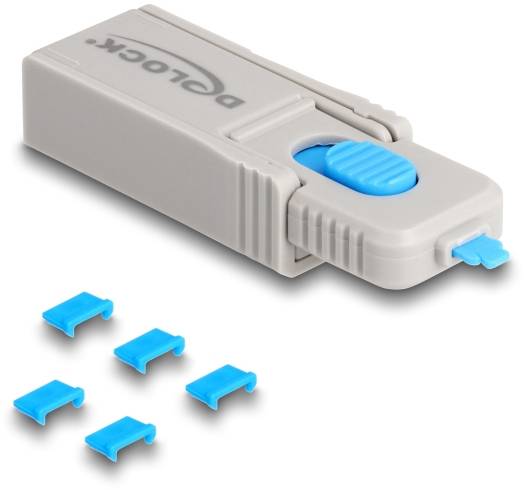 Delock USB-B Port Schloss 20925 Blau, Grau 20925