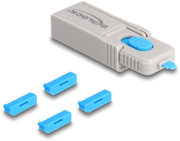 Delock DisplayPort Schloss 20927 Blau, Grau 20927