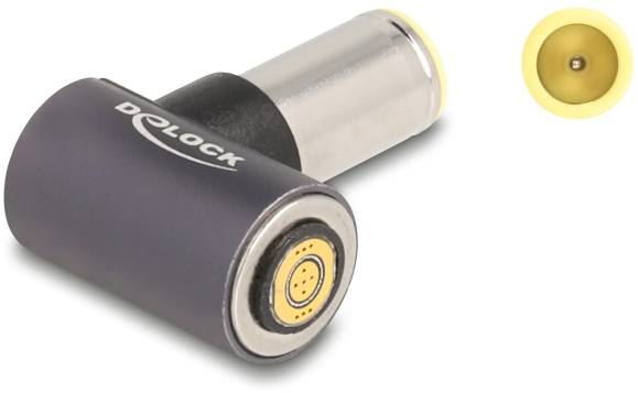 Delock Seriell Adapter [1x DC-Hohlstecker - 1x Magnetanschluss] Grau