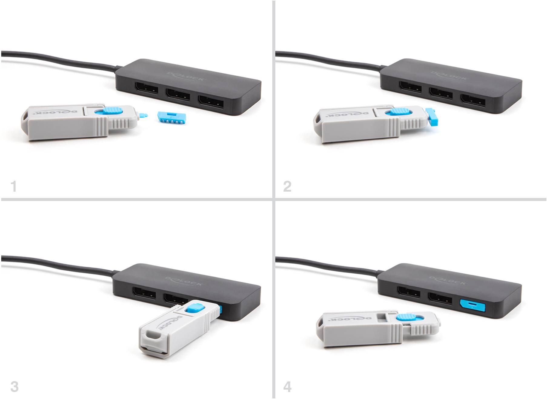 Delock DisplayPort Schloss 20951 Blau 20951