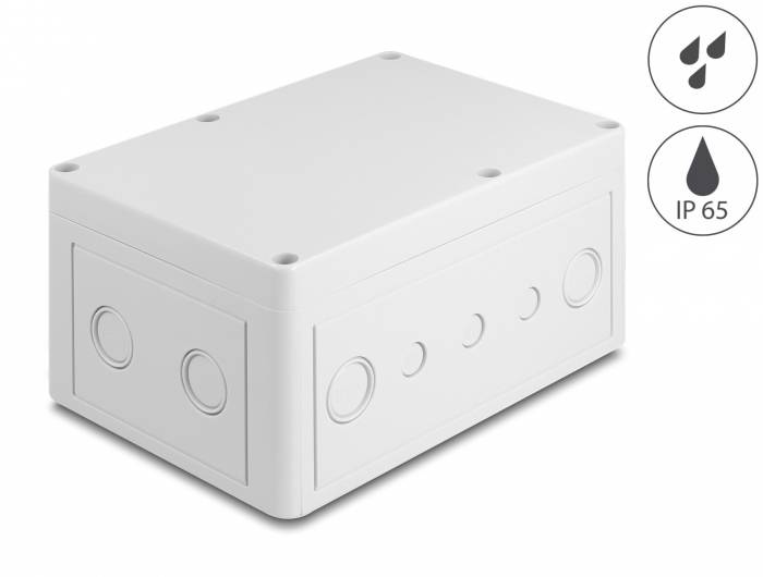 Delock 60492 Installations-Gehäuse 180 x 125 x 90 x 180 1 St. Box