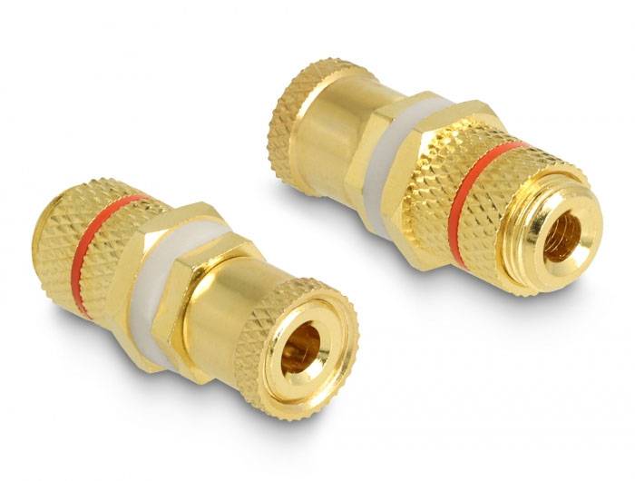 Delock 64145 64145 Audio Adapter [1x Polklemme - 1x Polklemme] Gold