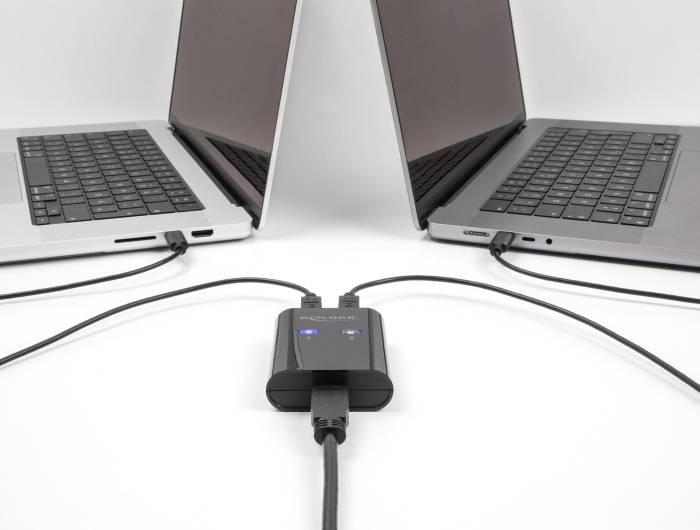 Delock 11503 USB 2.0-Umschalter Schwarz