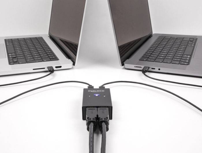 Delock 11505 USB 2.0-Umschalter Schwarz