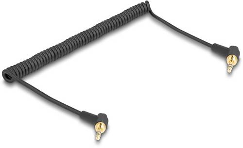Delock 85777 Klinke Audio Anschlusskabel [1x Klinkenstecker 3.5mm - 1x Klinkenstecker 3.5 mm] 0.75m Schwarz