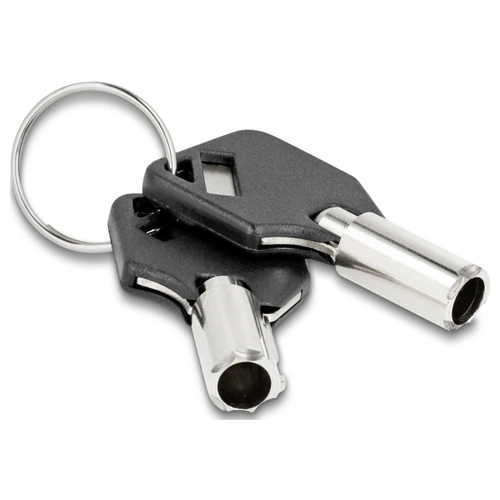 Delock Laptop Schloss Schlüsselschloss inkl. 2 Schlüssel 1.5m 20678 Delock Laptop Schloss Schlüsselschloss inkl. 2 Schlüssel 1.5m 20678