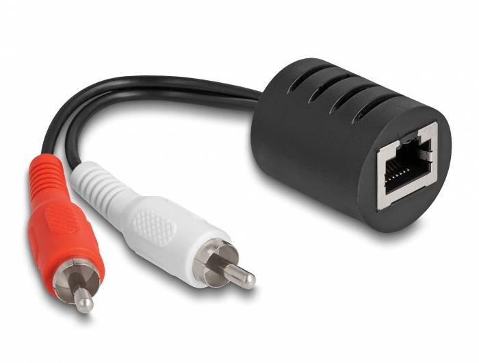 Delock 87857 RJ45 / Cinch Audio Anschlusskabel [1x RJ45-Buchse - 2x Cinch-Stecker] Schwarz, Rot, Weiß