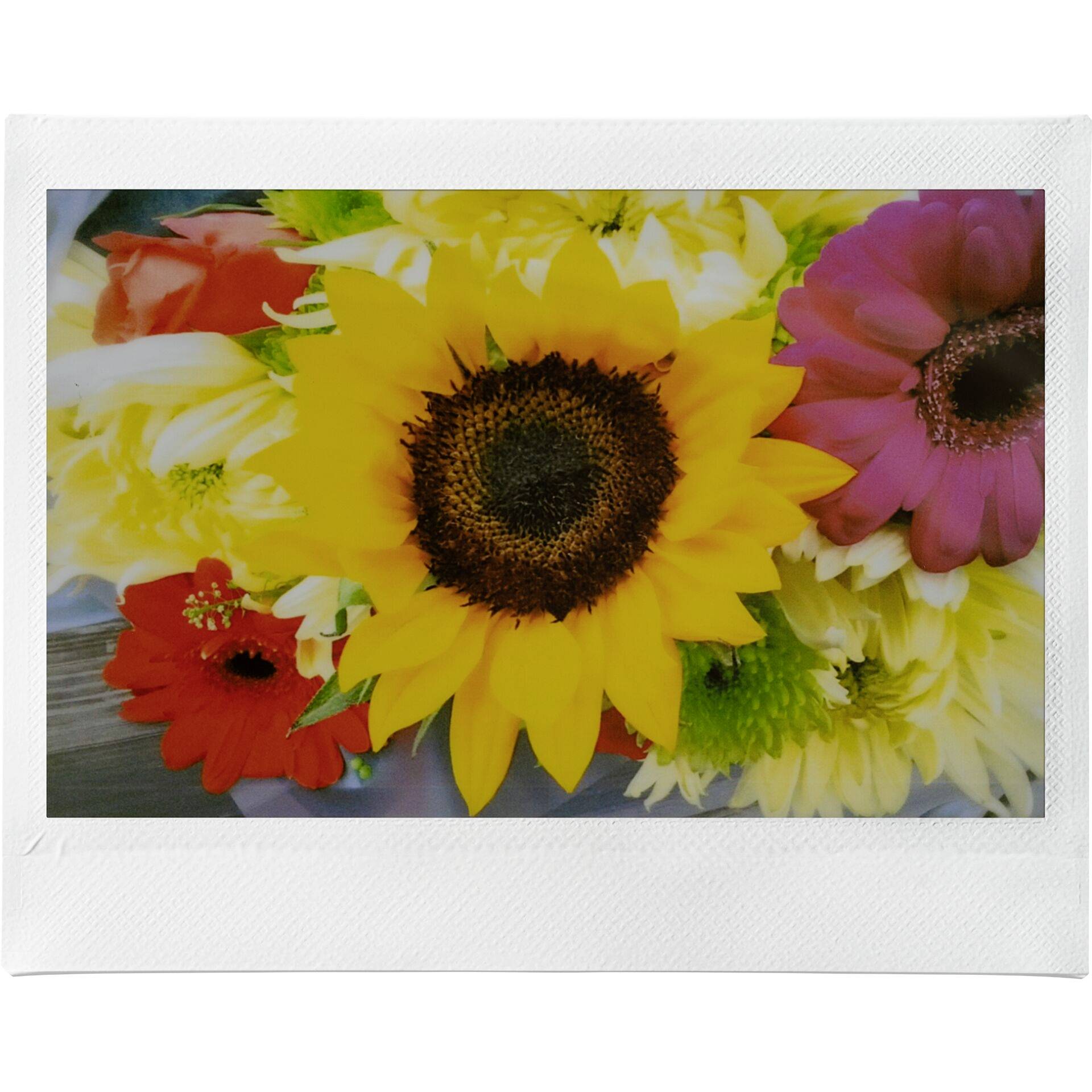 Fujifilm Instax Wide Evo Sofortbildkamera Schwarz Bluetooth, Integrierter Akku, mit eingebautem Blitz