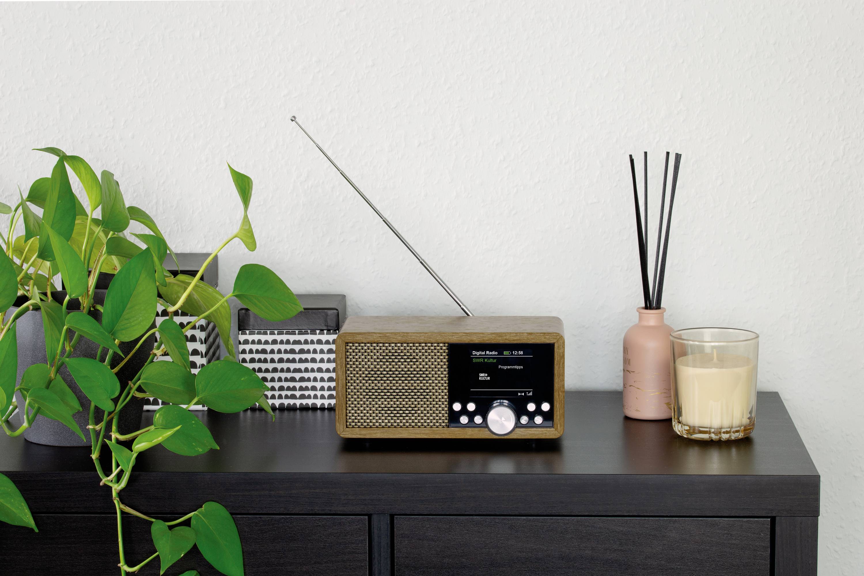 Dynavox Weltempfänger DAB+, FM, DAB DAB+, Bluetooth®, SD, USB Braun