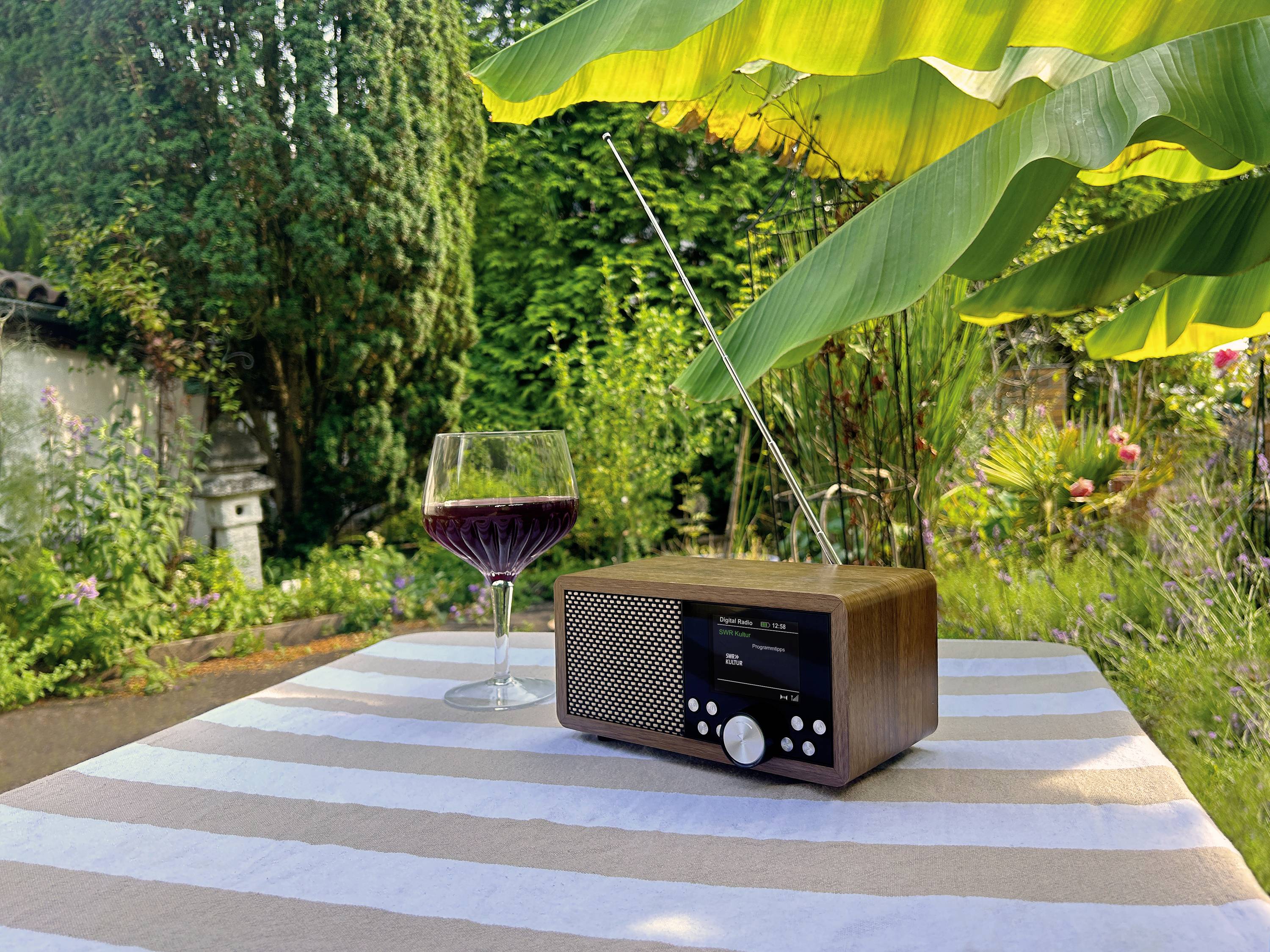 Dynavox Weltempfänger DAB+, FM, DAB DAB+, Bluetooth®, SD, USB Braun
