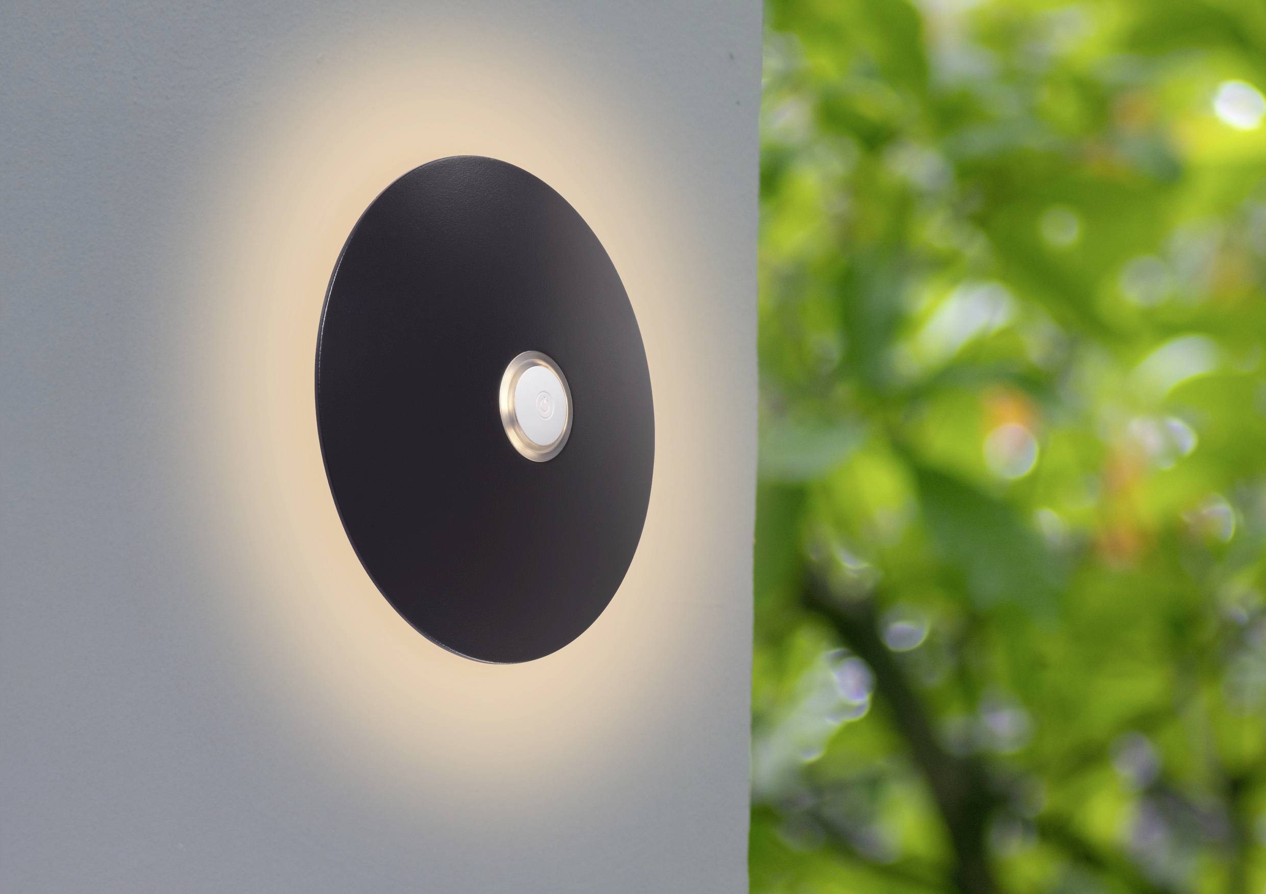 Eine kreisförmige schwarze Wandleuchte mit einer zentralen Glühbirne strahlt ein sanftes Licht aus, angebracht an einer hellgrauen Wand mit grünem Blattwerk im Hintergrund.