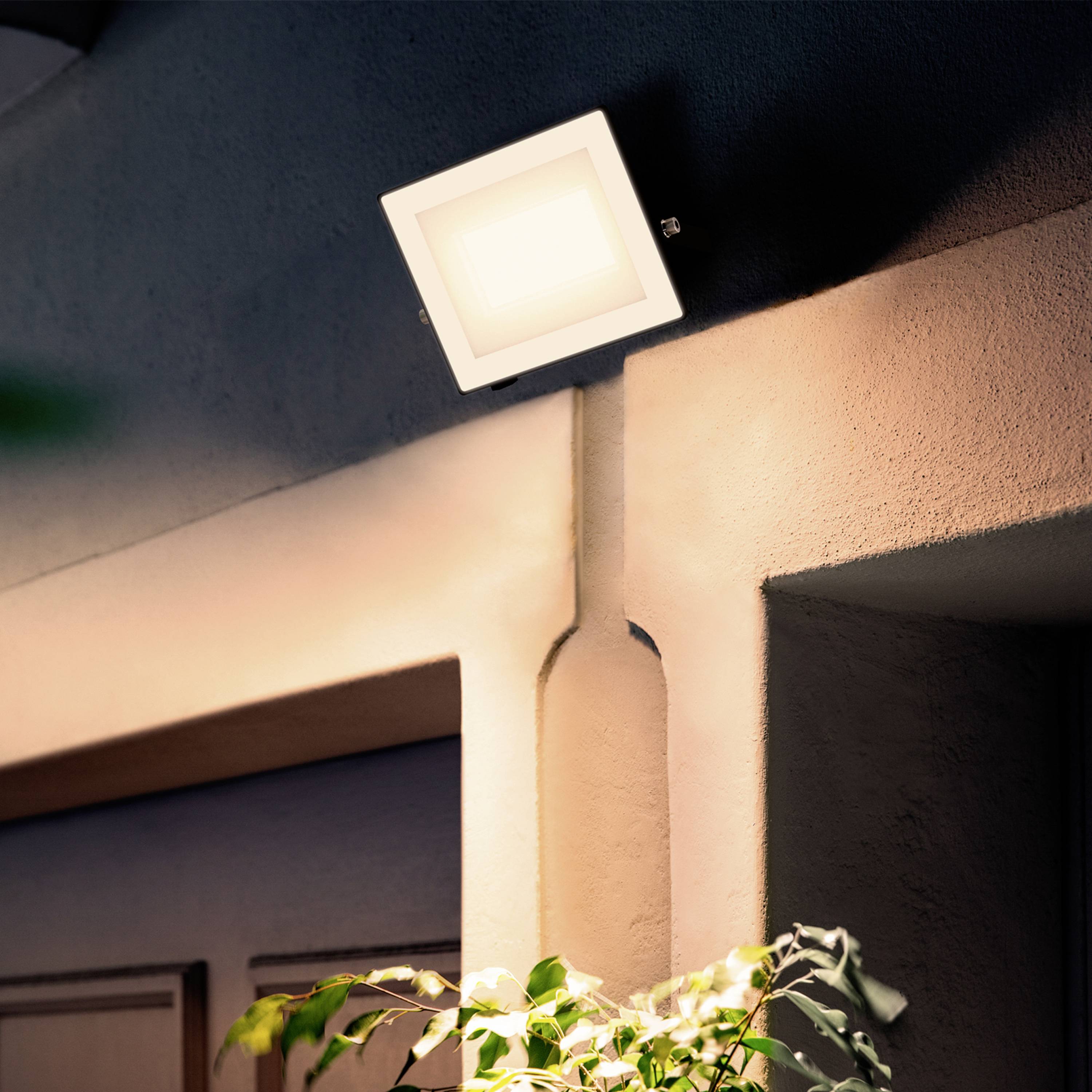 Außenleuchte an einer Hauswand neben einem Fenster; beleuchtet Pflanzen im Vordergrund und schafft eine warme, einladende Atmosphäre.