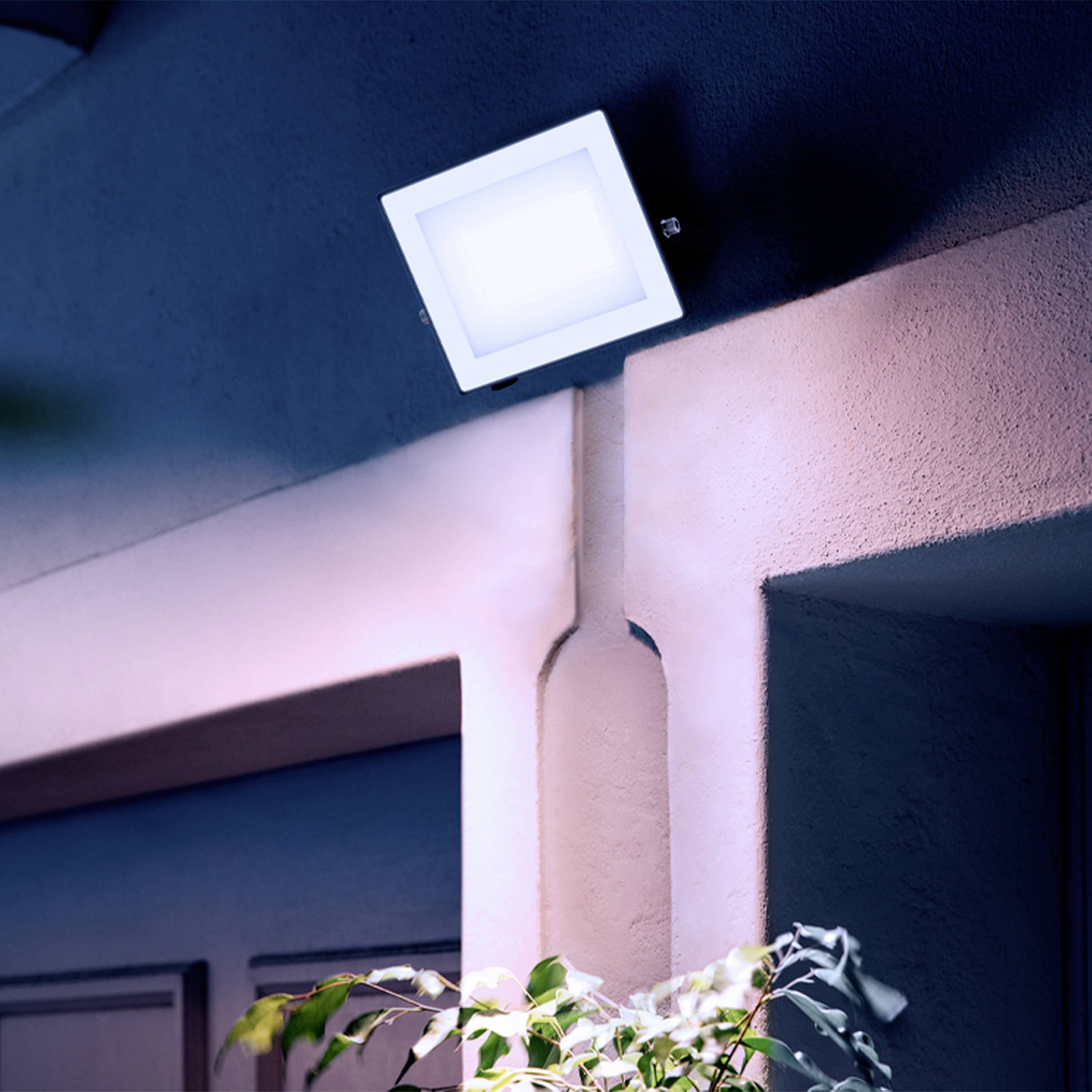 Ein beleuchteter Außenstrahler erhellt die Ecke eines modernen Gebäudes. Im Vordergrund sind Blätter einer Pflanze zu sehen.