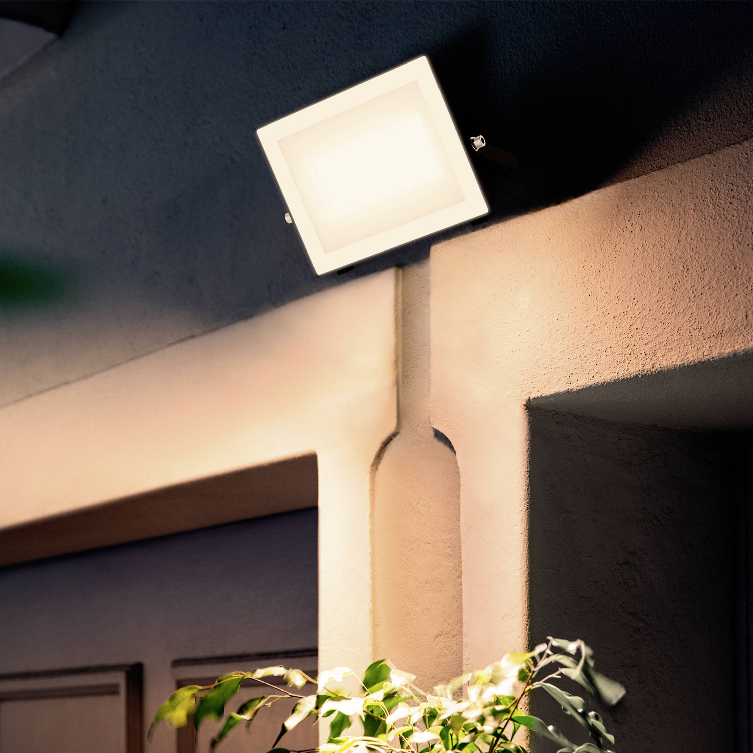 Eine Wandlampe leuchtet über einem Hauseingang bei Dämmerung. Im Vordergrund sind verschwommene Pflanzen sichtbar.