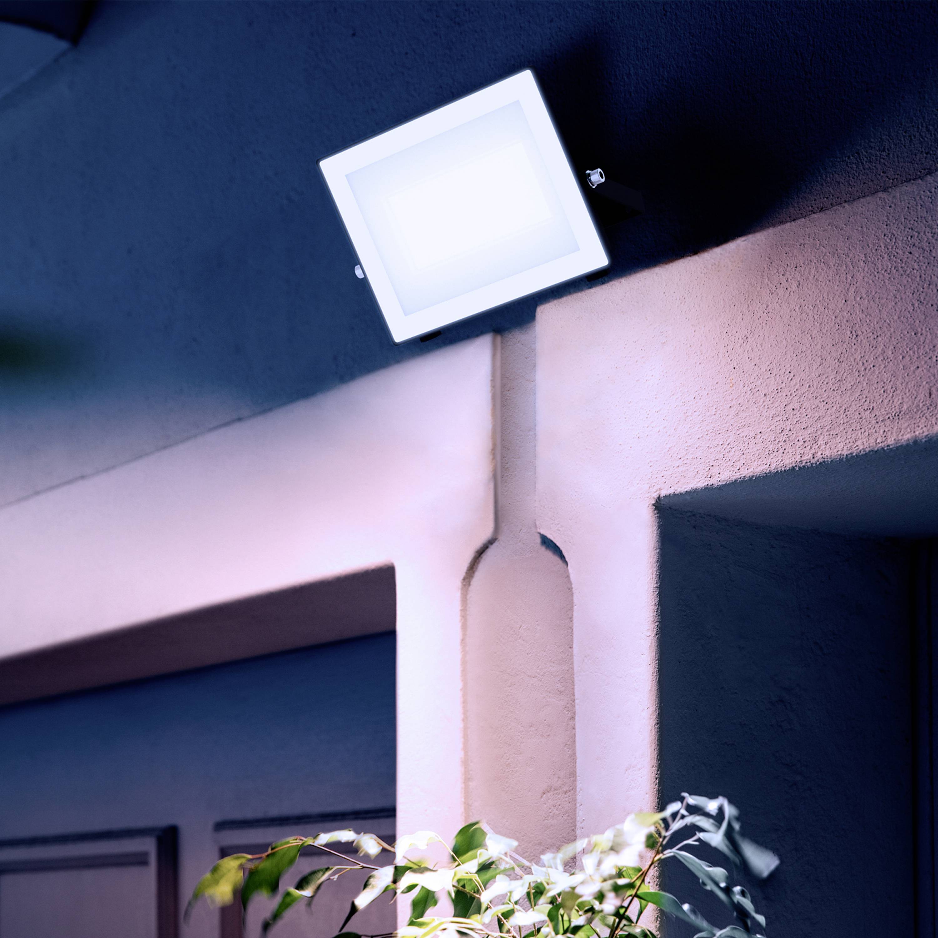 Philips LED Lois 929004642101 LED-Außenstrahler 50 W Leuchtfarben: Kaltweiß