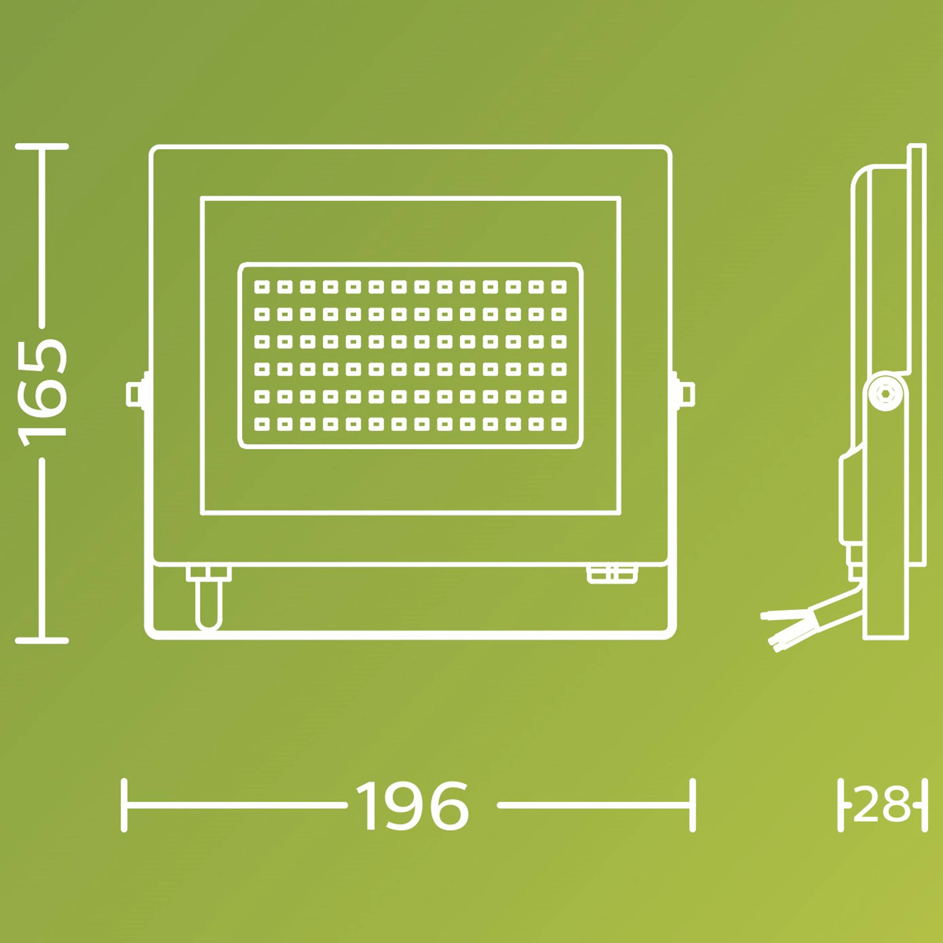 Philips LED Lois 929004642101 LED-Außenstrahler 50 W Leuchtfarben: Kaltweiß