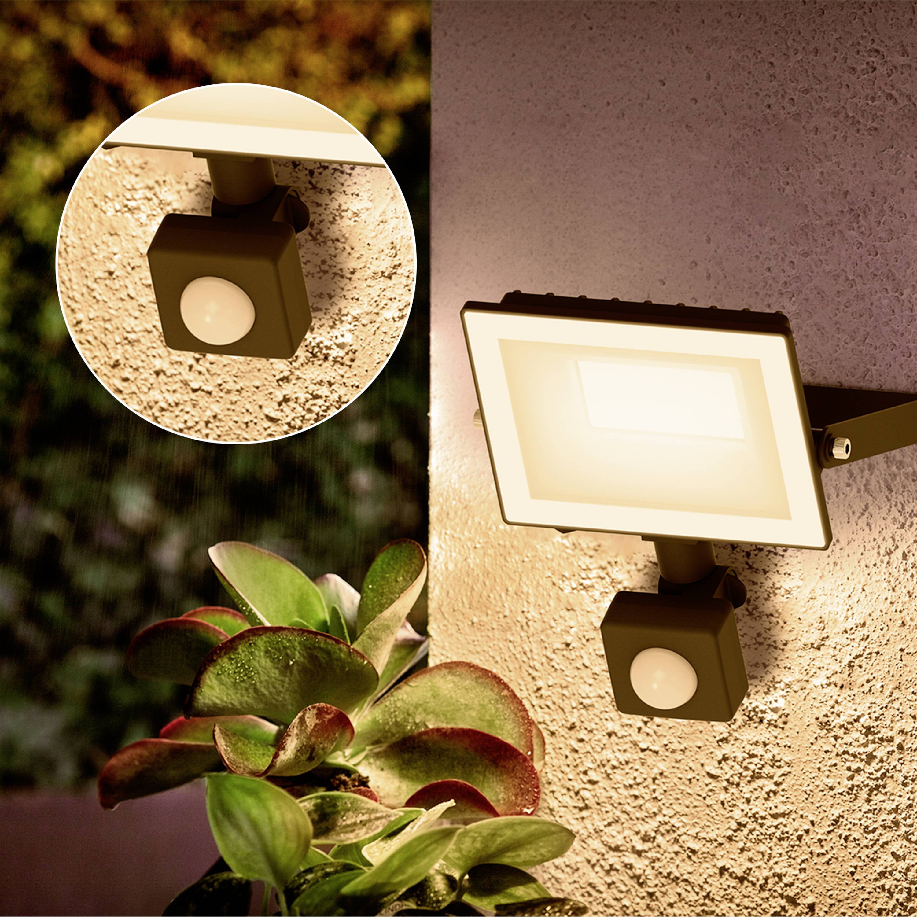 Außenwandleuchte mit Bewegungsmelder leuchtet nachts. Nahaufnahme zeigt rechteckige Lampe an der Hauswand, beleuchtet Pflanzen im Vordergrund.