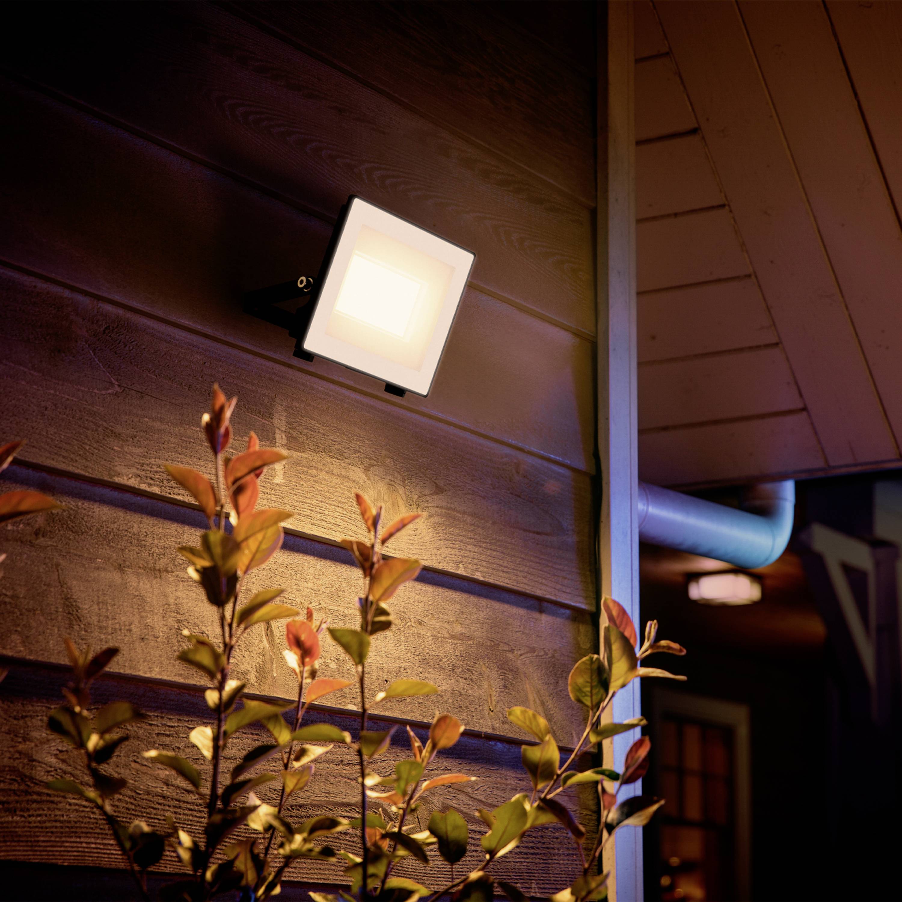 Eine Außenleuchte beleuchtet die Holzverkleidung eines Hauses neben einem Fenster in der Dämmerung. Im Vordergrund einige Pflanzenzweige.