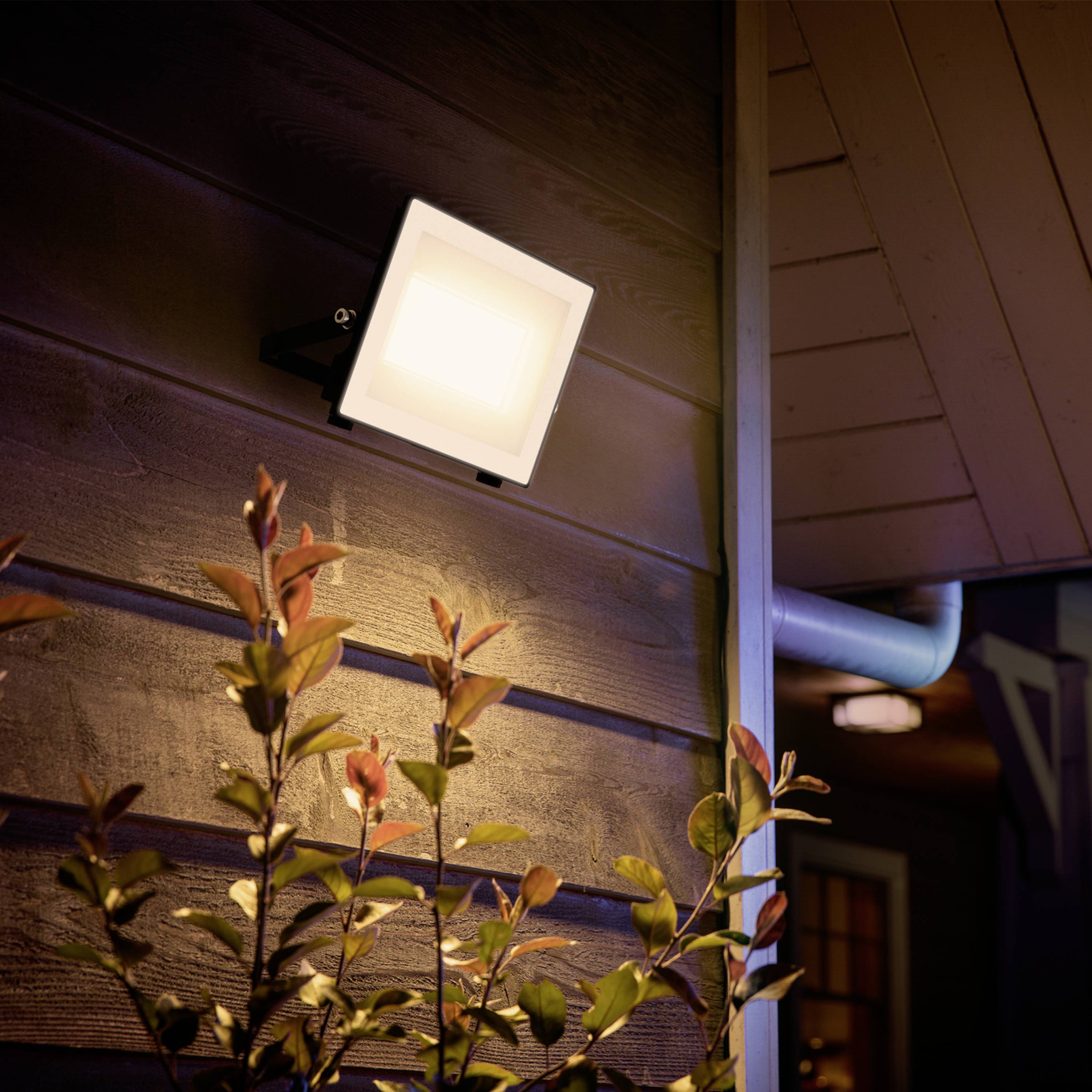 Ein Außenstrahler beleuchtet ein Holzhäuschen, das von Pflanzen umgeben ist. Warmes Licht schafft eine gemütliche Atmosphäre.