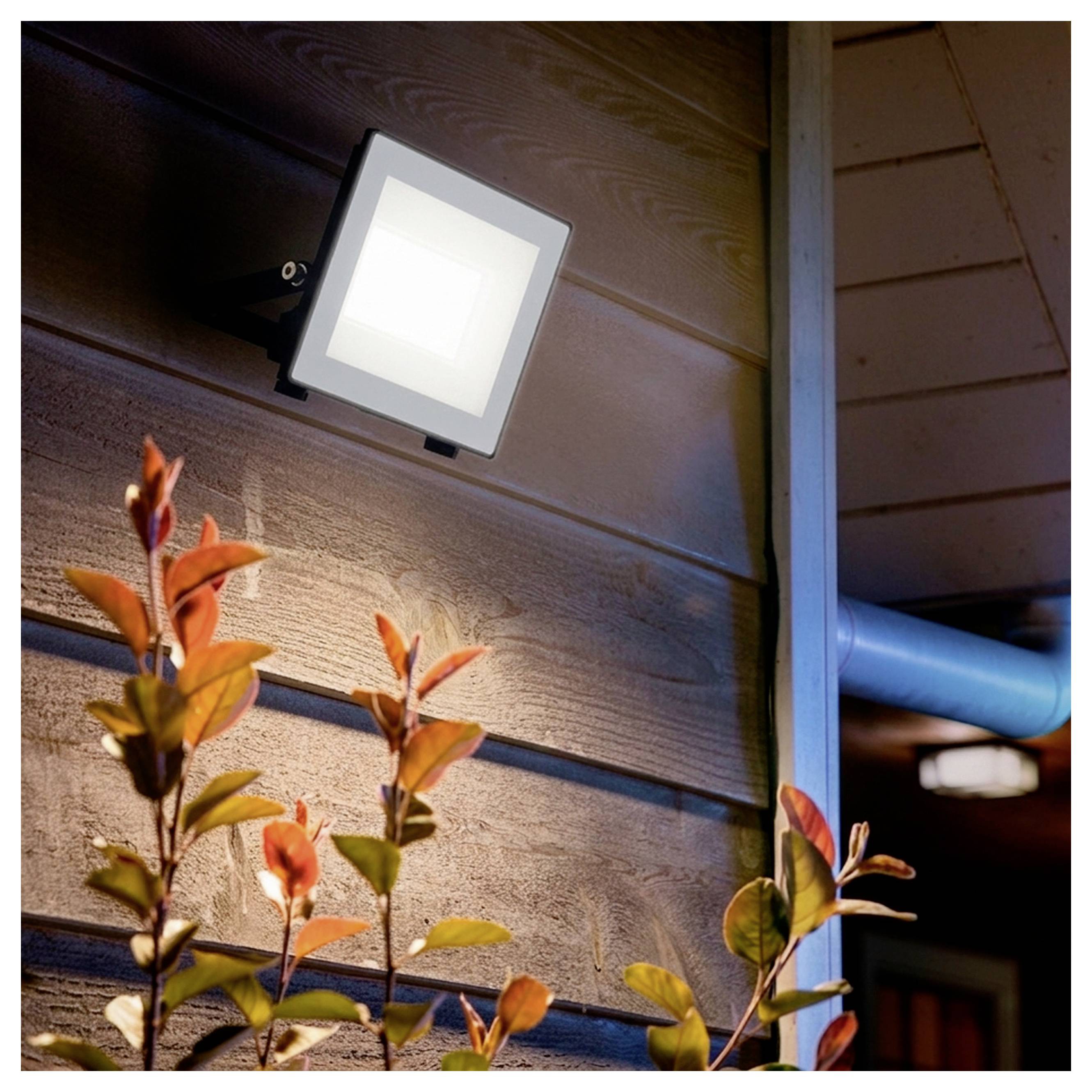 Außenflächiges quadratisches LED-Flutlicht an der Wand montiert, das an einem holzverkleideten Gebäude neben einem Dachüberstand und in der Nähe von Blättern leuchtet.