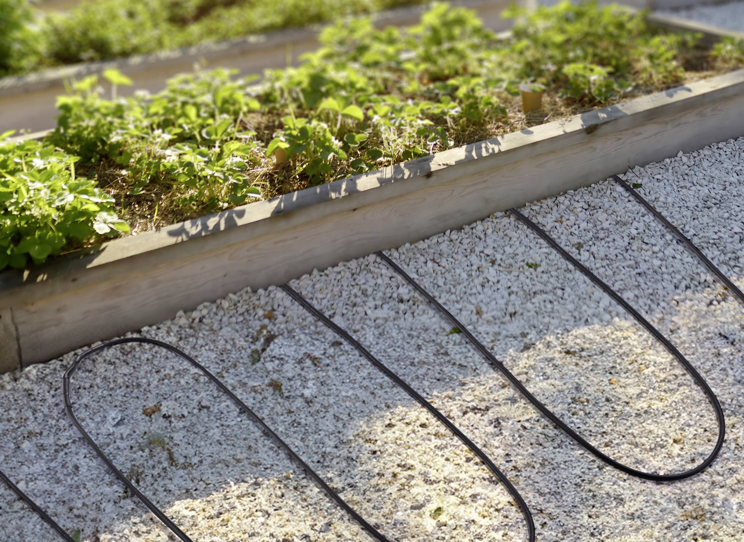 Sygonix SY-6771240 Heizkabel 230 V/AC 37.5W 2.5m mit Frostschutzfunktion